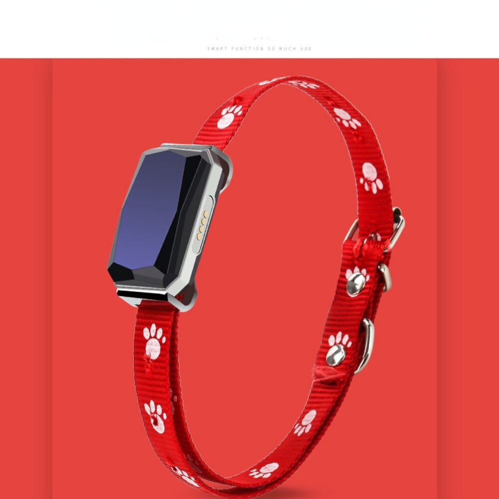 Pet positioning collar Beidou GPS pet locator Multifunctional dog tracker LBS intelligent tracking