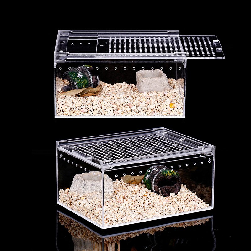 Reptil Zucht Kasten Große Acryl transparent Schiebe Abdeckung Reptil Panzer Insekt Spinne Schildkröte Eidechse Fütterung Kasten Terrarium