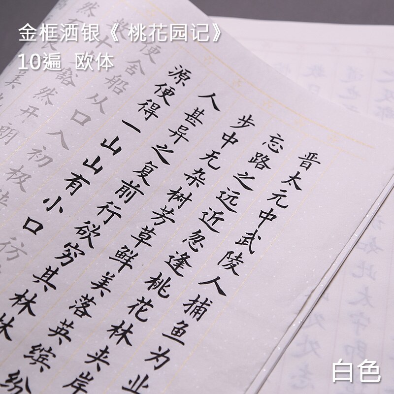 Copybook Chinese Brush Calligraphy Copybook 10sheets Multipel Type Adult Beginner Chinese Regular Script Calligraphy Copybooks: L