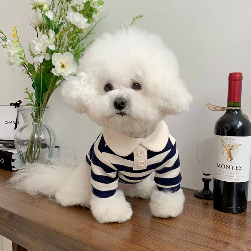 Mode Hond Gestreept Shirt Zomer Puppy Kleding Leuke Kat Vest Ademend Hond Dun Shirt Huisdier Kitten Kleding Chihuahua Kleding: SCARLET / XXL