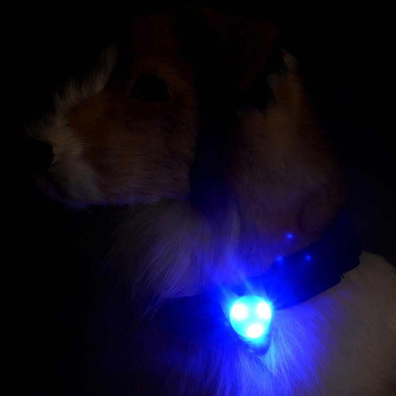 Pets LED Pendant Safety Flashing Glow Light LED Collar Pendant Necklace For Dog Puppy Pet Outdoor Leads Button Battery