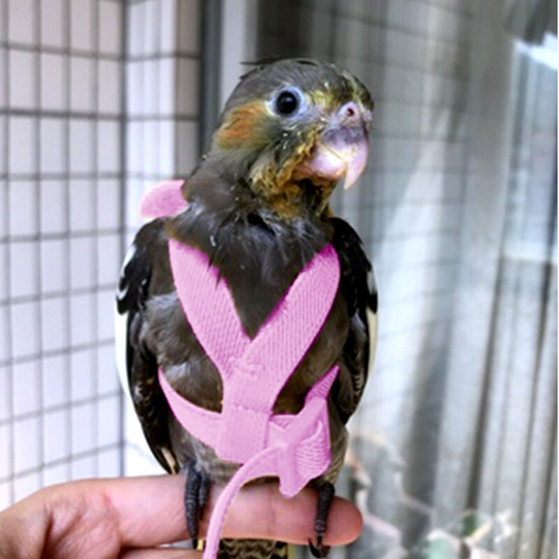 Set di imbracature e guinzagli per pappagalli corda da allenamento per volo all&#39;aperto regolabile con ala per piccoli uccelli medi Cockatiel, Macaw, Budgie