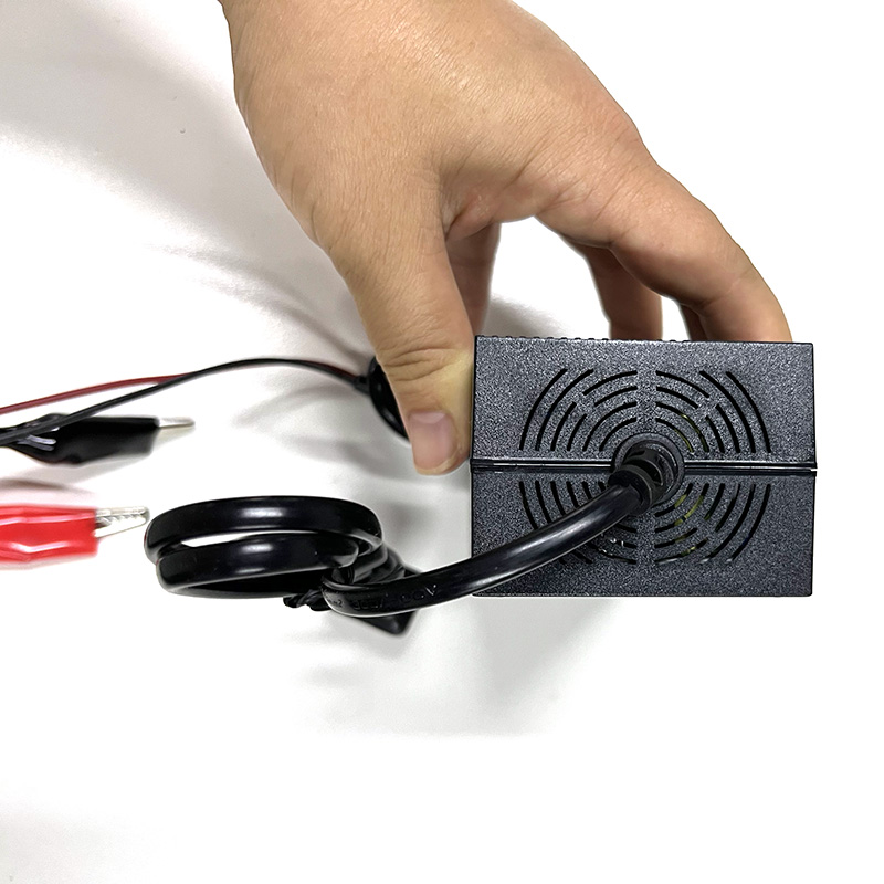 3.2V 3.65V 3.7V 4.2V Charger Lifepo4 LFP Li-ion Lipo Lithium Battery 5A 6A 7A 8A 10A 15A 20A Fast Charge Cell 1S Balance 18650