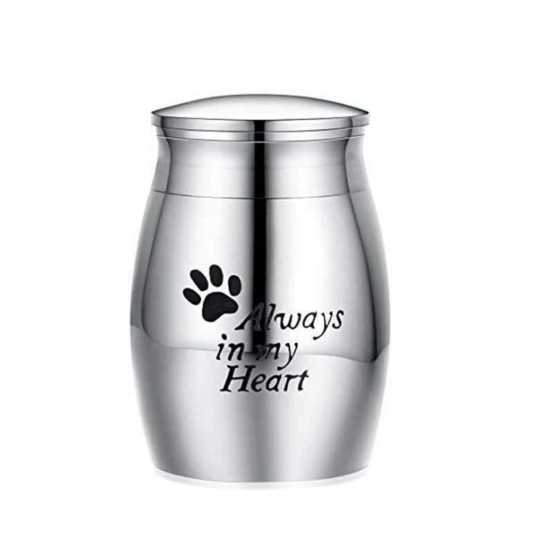 Cercueil pour animaux de compagnie, en acier inoxydable, pour chat, oiseau, cercueil souvenir: 04