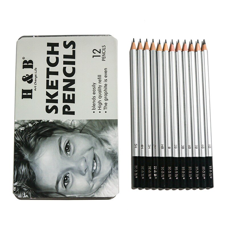 12/17 Pieces of Advanced Drawing Pencil Set Wooden Iron Box Sketch Comic Pencil Student Model Complete Learning Stationery: 12 piece set