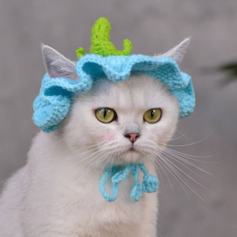 Sombrero de flores, sombrero de ganchillo para gato, perro pequeño, sombrero de berenjena de ganchillo, patrón para gatos y perros, ropa para gatos, accesorios para gatos, traje para mascotas: S / Azul