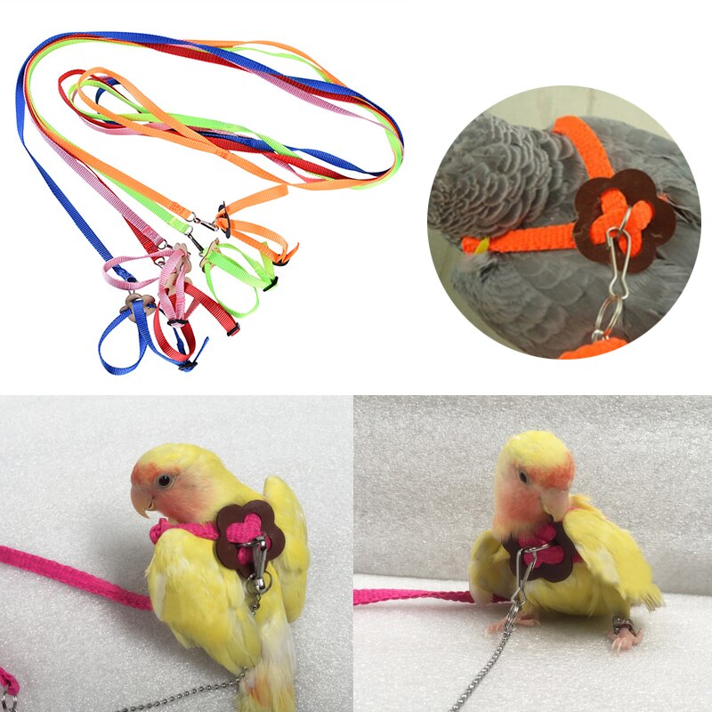 Verstelbare Parrot Leash Bird Harness Training Touw Outdoor Vliegende Touw Voor Valkparkiet Kleine Vogels Dierbenodigdheden Multi Kleur