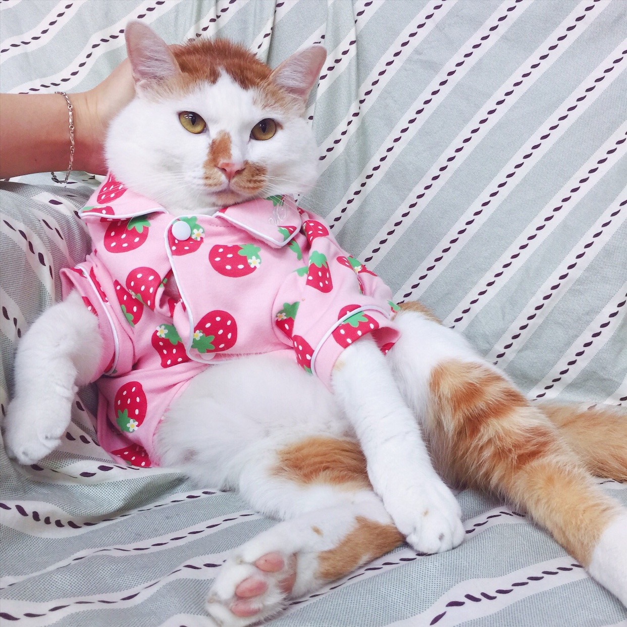 Pet Cat Clothes Mascotas Costume Halloween Soft Cute Chick Strawberry Cat Homewear Cat Coat Apparel Pet Outfit XS S M L XL