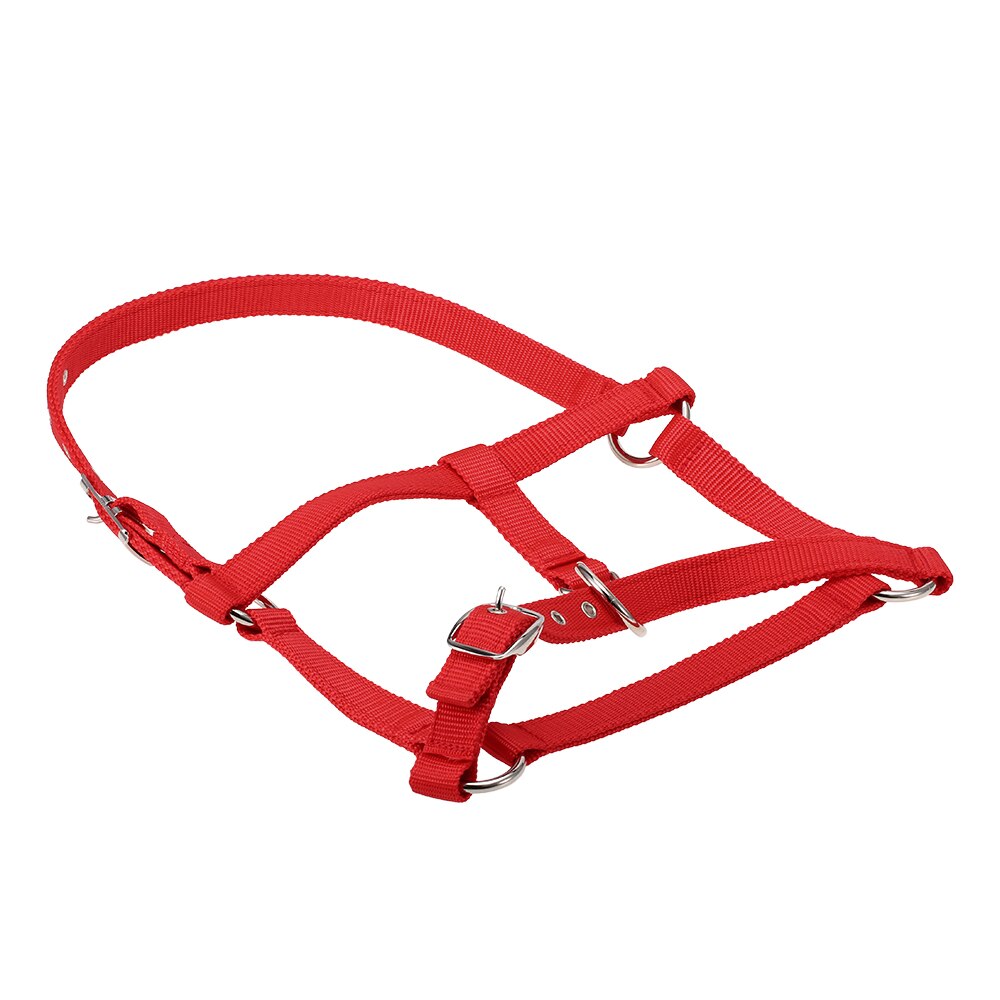 Collar de cabeza de caballo grueso de 6MM, brida ajustable de seguridad, accesorios de equipo de equitación, cuerda de caballo de plomo
