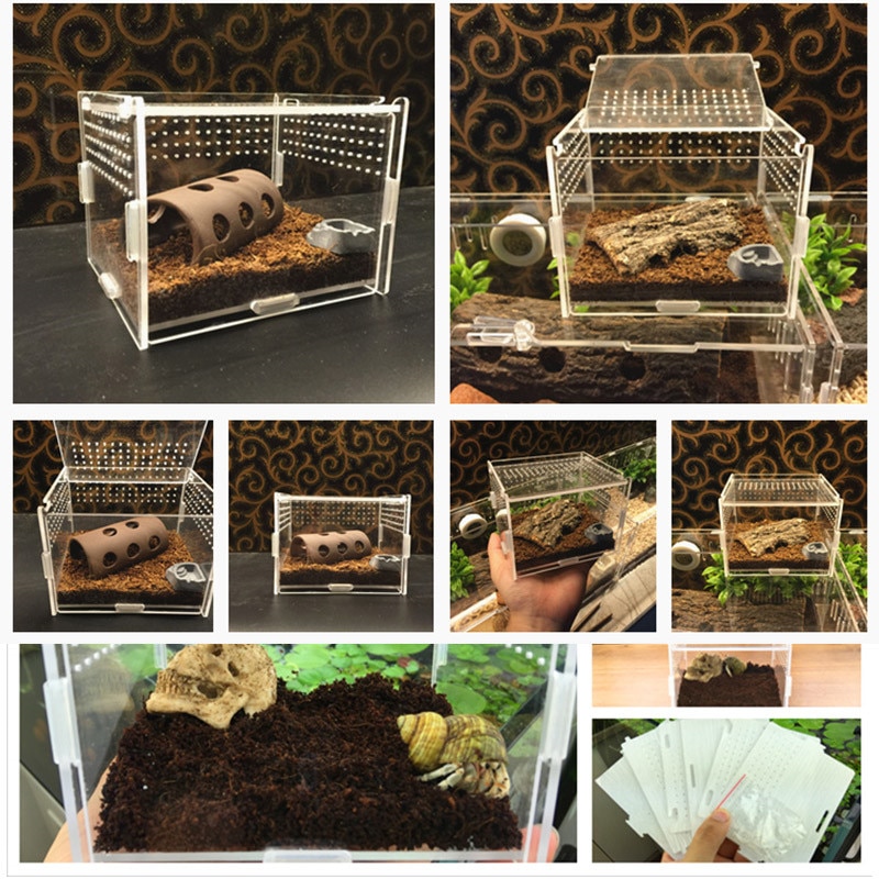 Small Size Reptile Tank Insect Spiders Tortoise Lizard Acrylic Transparent Breeding Box Vivarium Lid Reptile Pet Product