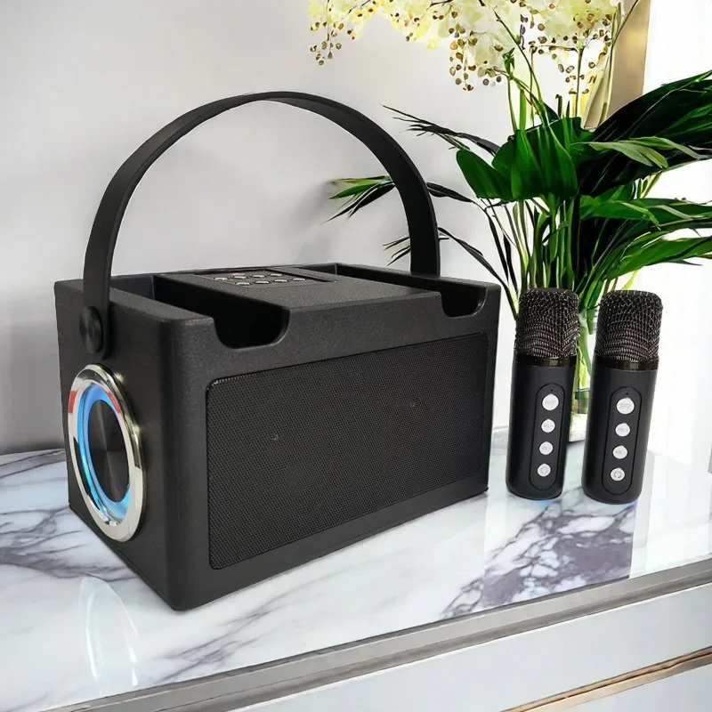 Bärbar bluetooth-högtalare med bas, hi-fi-ljud, trådlös mikrofon för karaoke-hemmafest