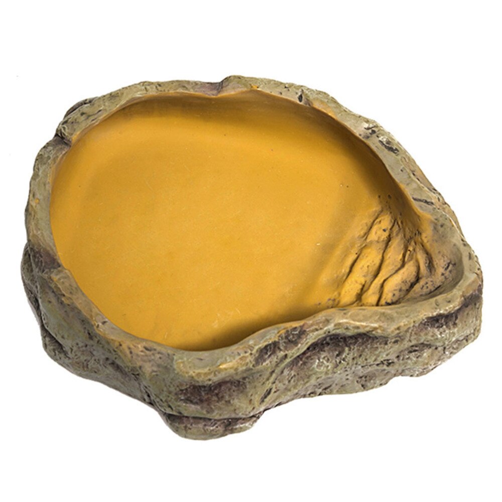 Stunning Essential Reptile Feeding Equipment image