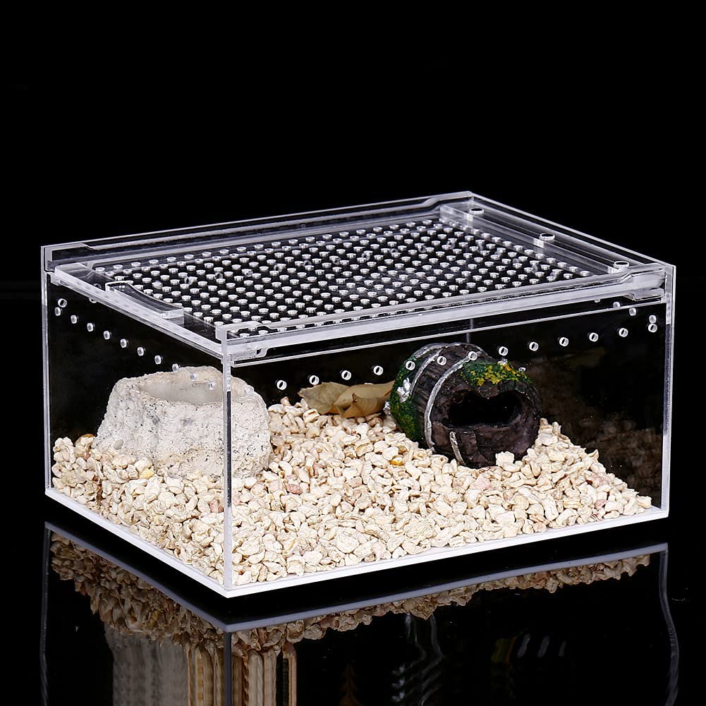 Caja de acrílico para reptiles, caja plana larga transparente para cría de reptiles, terrario, jaula para Tarantula, escorpión, Isopods