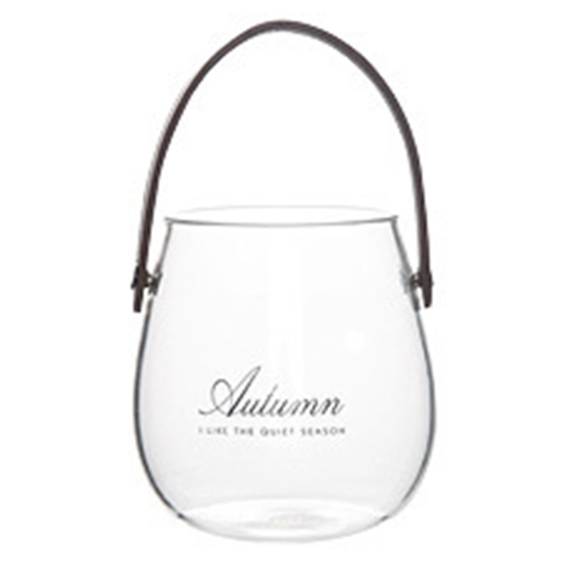 Clear Glass Vase with Leather Handle Tabletop Flower Container Flowerpot Plant Bottle Organizer Storage Jar Home Decor Retailsal