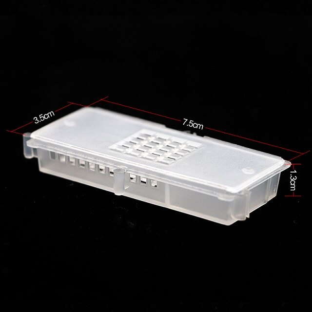 20 PCS Bee Tools Bee Transport Hive cages Beekeeping Equipment Queen house Beehive White transparent Queen Bee Cage: Default Title