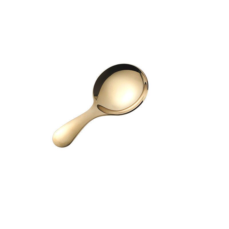 Mini Spoon Short Handle Seasoning Spoon Tea Dessert Small Spoon Stainless Steel Spoon: Gold