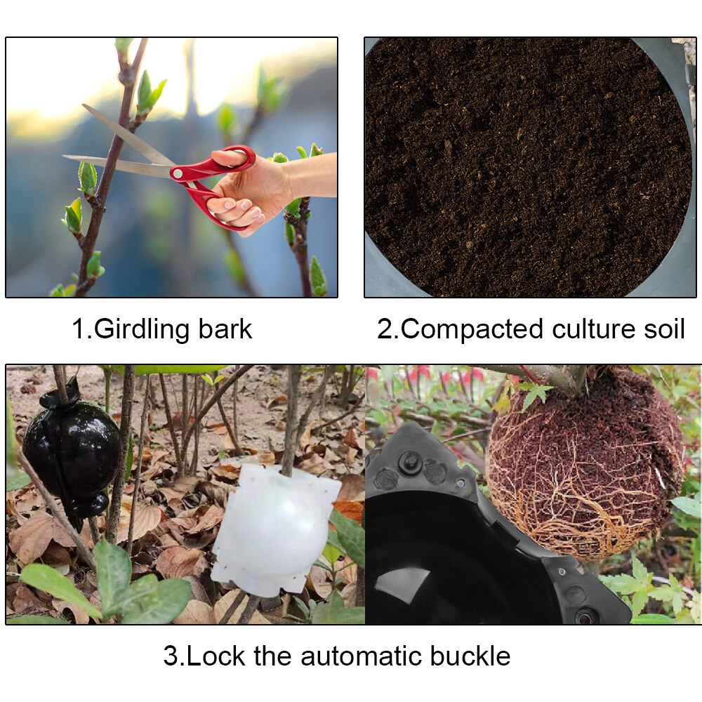 Plant Root Growing Box For Grafting Rooting Breeding Growing Ball High Pressure Gardening Propagation Sapling Box