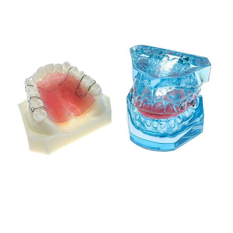 Dental Functional Orthopedic Bionator Removable/Hawley Retainer Teeth Model for dentistry students Teach Study Model
