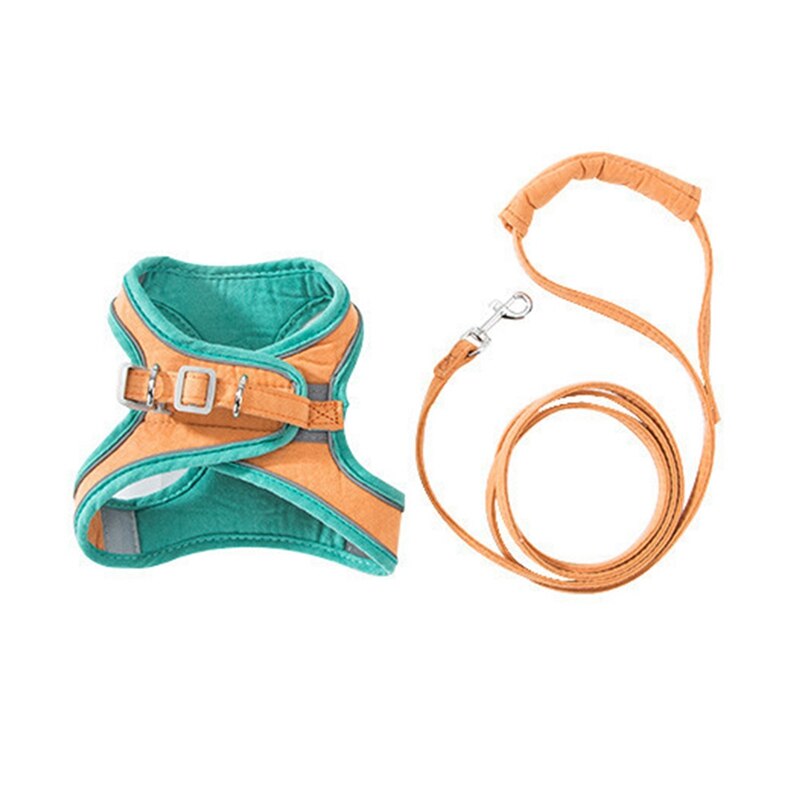 Picture of Training Walking Leads For Small Cats Dogs Floral ... – Grandado