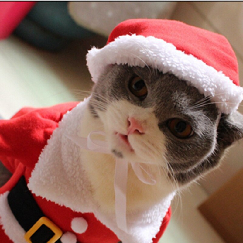[MPK Gatto Costumi] Babbo natale del costume Del Gatto di!! carino Santa! Rosso Santa animale domestico Gatto Vestiti Vestito, Cappotto Abbigliamento, X-mas costume