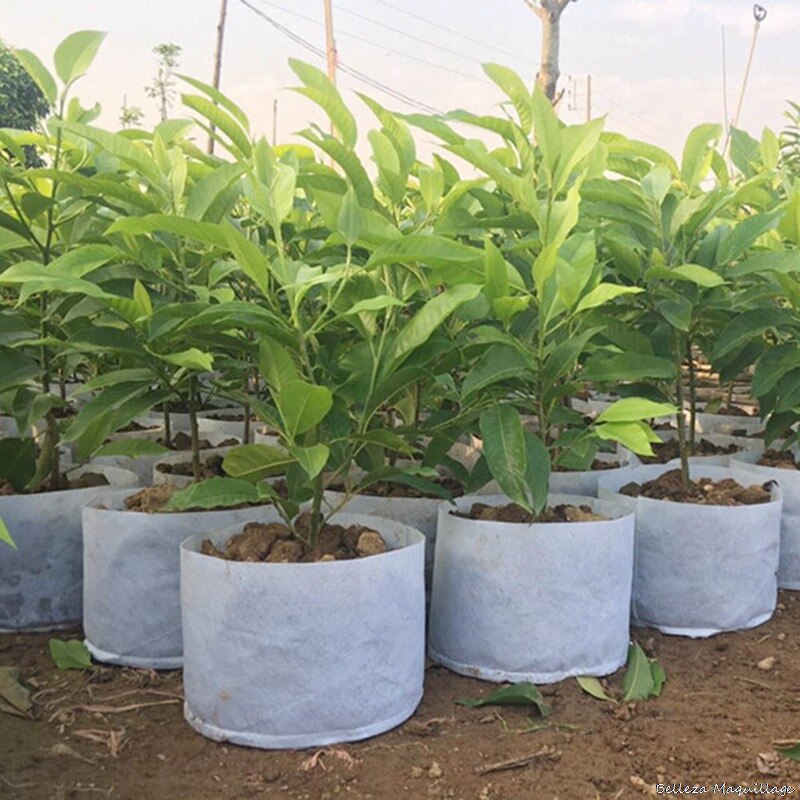 Different Sizes Biodegradable Non-woven Seedling Pots Eco-Friendly Planting Bags Nursery Bag Plant Grow Bags Fabric Pouch