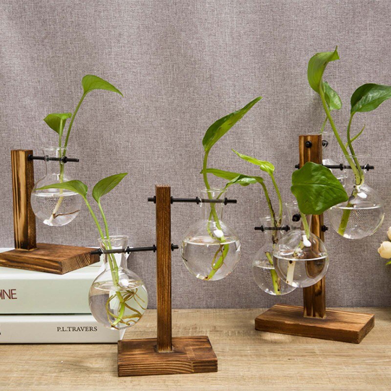 Eenvoudige en glazen flesvaas, houten standaard, hydrocultuurvaas, groene plant, kleine vaas, bureaudecoratie, scandinavische vaas