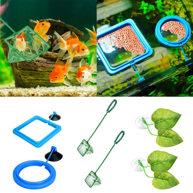 6-Pack Fish Feeder Supplies Feeding Ring Aquarium ... – Grandado
