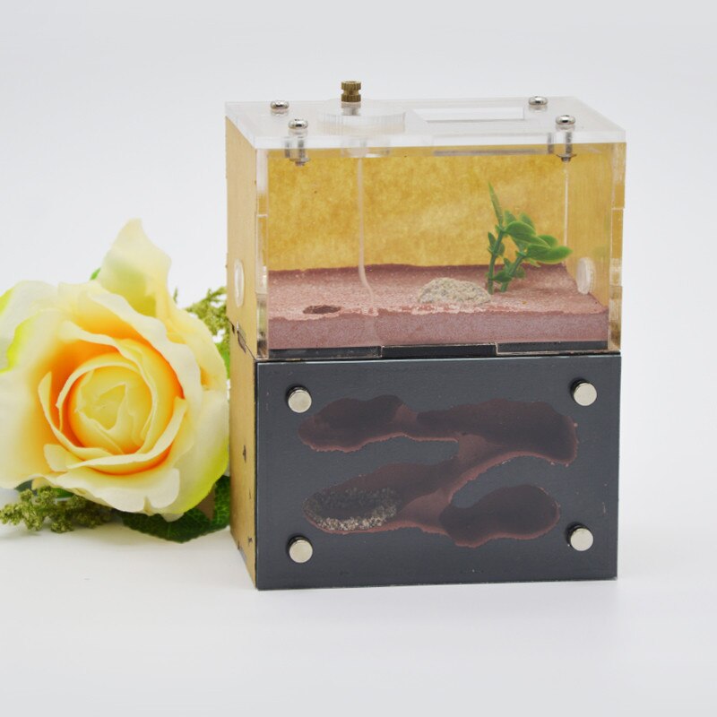 Big space Ant Nest ,Ant Farm Acrylic, Insect ants Villa House Ants Ecological Workshop: Scarlet
