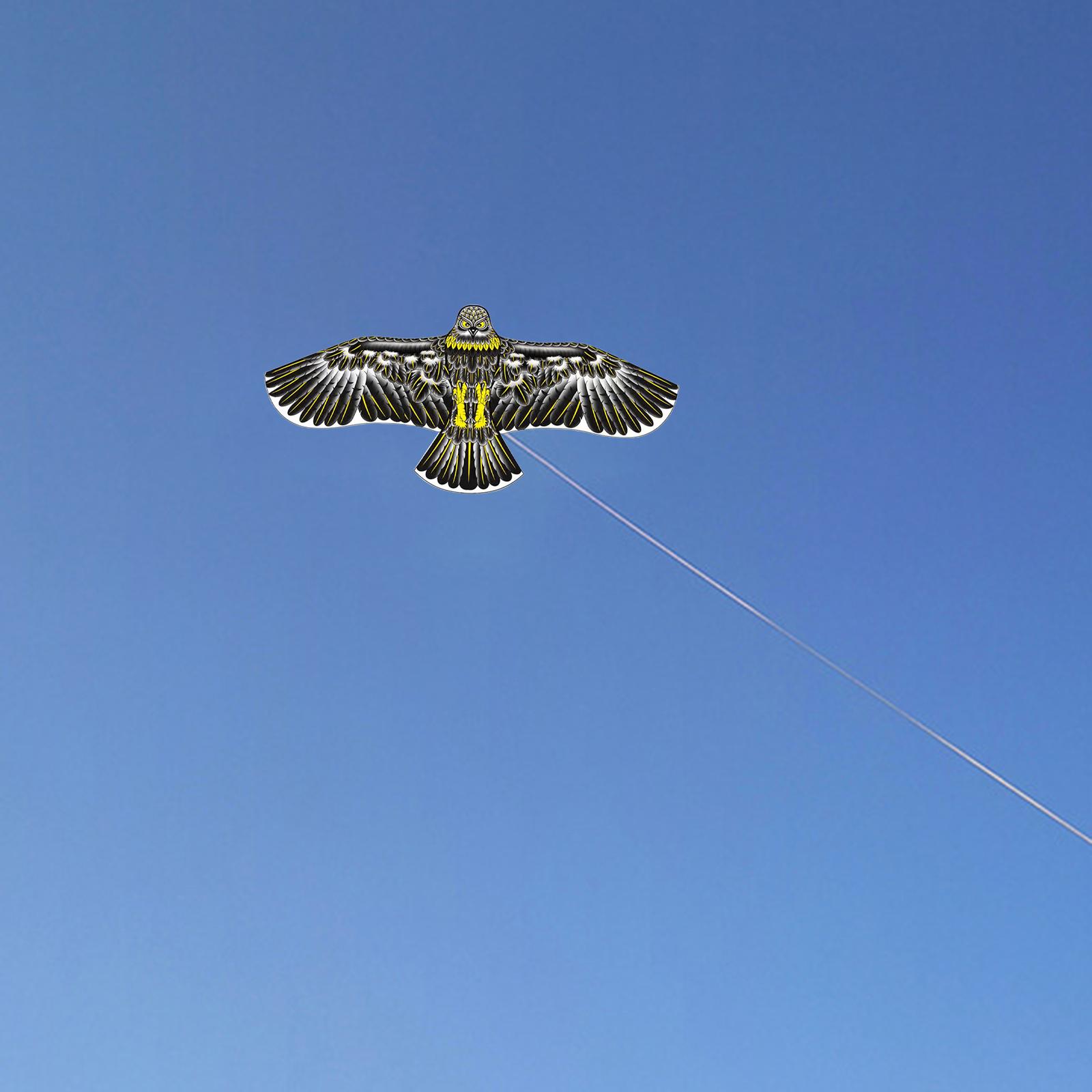 Cometa de águila realista para niños, juego de playa con mango con cuerda de 30M, juego volador para niños y adultos, fácil de volar