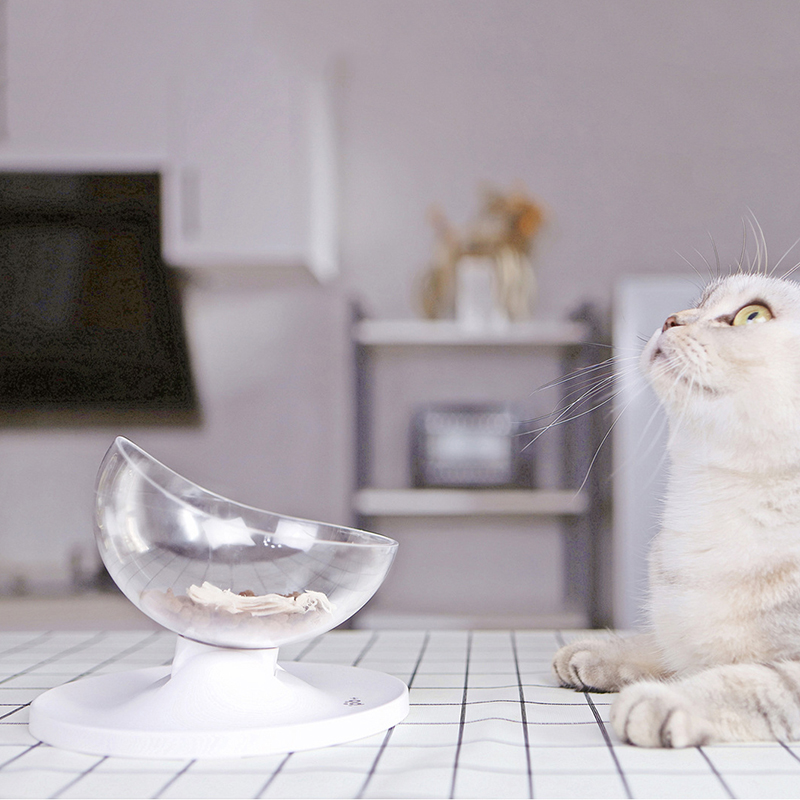 Eierschale Geformt Hund Katzenfutter Schalen Neigung Einstellbar ungiftig Haustier Zubringer Katzen Produkte für Haustiere Liefert Katze Fütterung werkzeuge