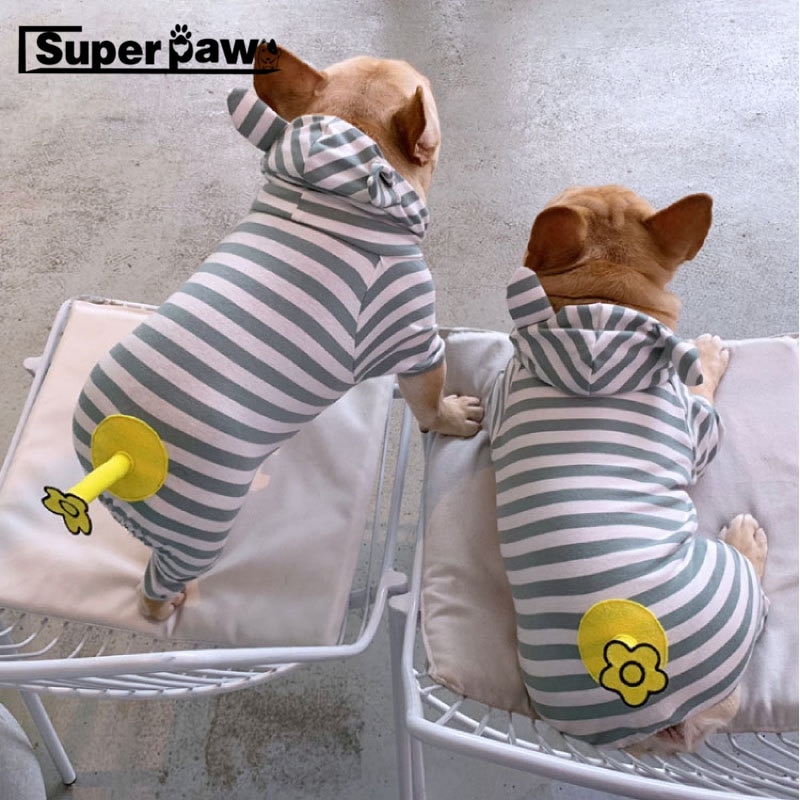 Sød fransk bulldog gris jumpsuit kjole kæledyr hund tøj små mellemstore hunde hvalpefrakke varm hættetrøje tøj chihuahua jakke xic 10