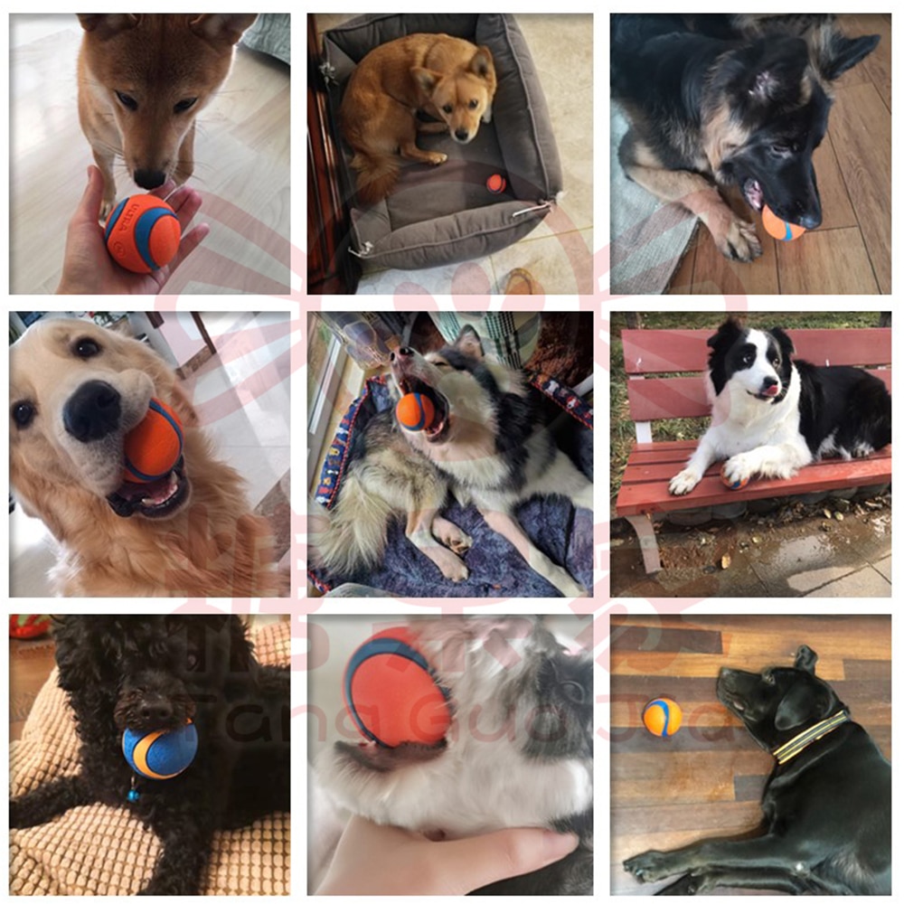 Pet Dog Rubber Ball Toys for Dogs Resistance to Bite Dog Chew Toys Funny French Bulldog Pug Toy Puppy Pet Dogs Training Products