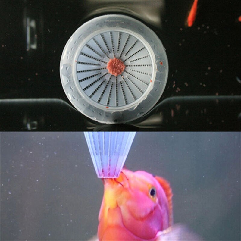 4x akvarium röd maskmatare konmatning för fisketank ängelfisk diskusfisk