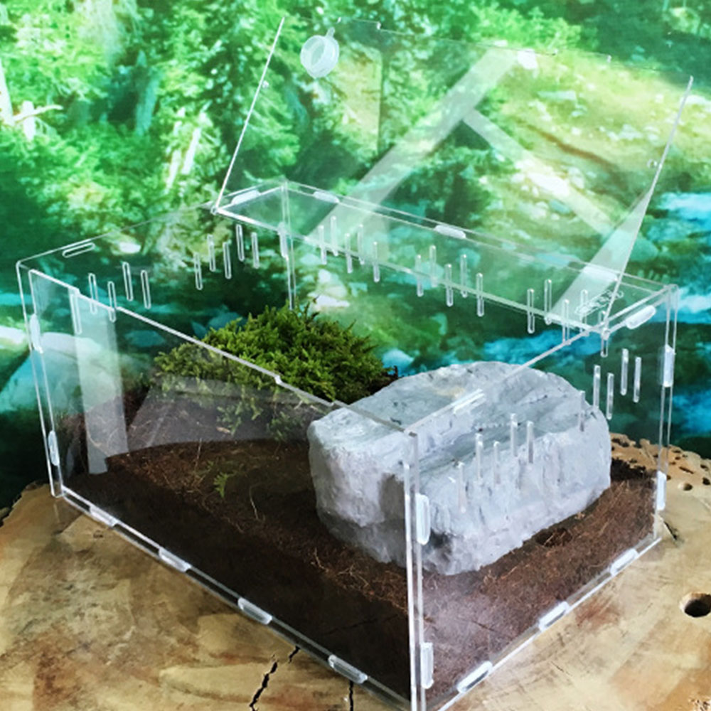 Krybdyr terrarium krybdyr kasse insekt koldblodede dyr holdbart akryl gennemsigtig boligindretning