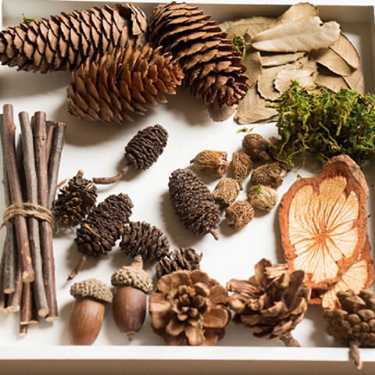 Photography photo props decoration diy retro forest decoration set cosmetic decorations with background