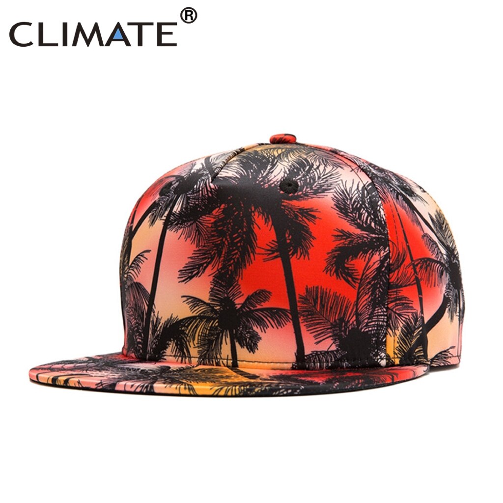 Casquette de plage à rabat en noix de coco pour hommes, pour en bord de mer, impression 3D, casquettes Hip Hop, Street Dancer, chapeau de danse