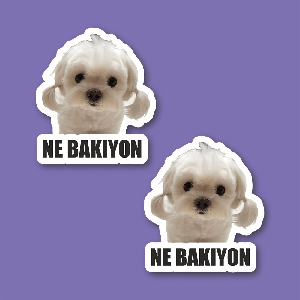 Wat Bakıyon Laptop En Telefoon Sticker-Decal Max.5cm 2'li Set