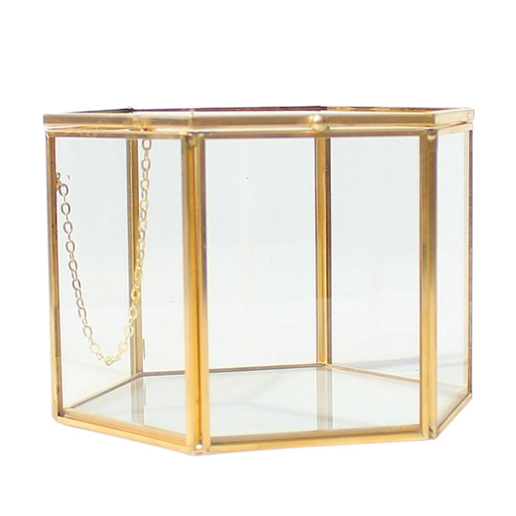 Modern Hexagon Clear Glass Brass Geometric Terrarium Fern Moss Air Plant Display Case Art Home Garden Decor Party Favors: 14 x 14 x 9.5 cm 