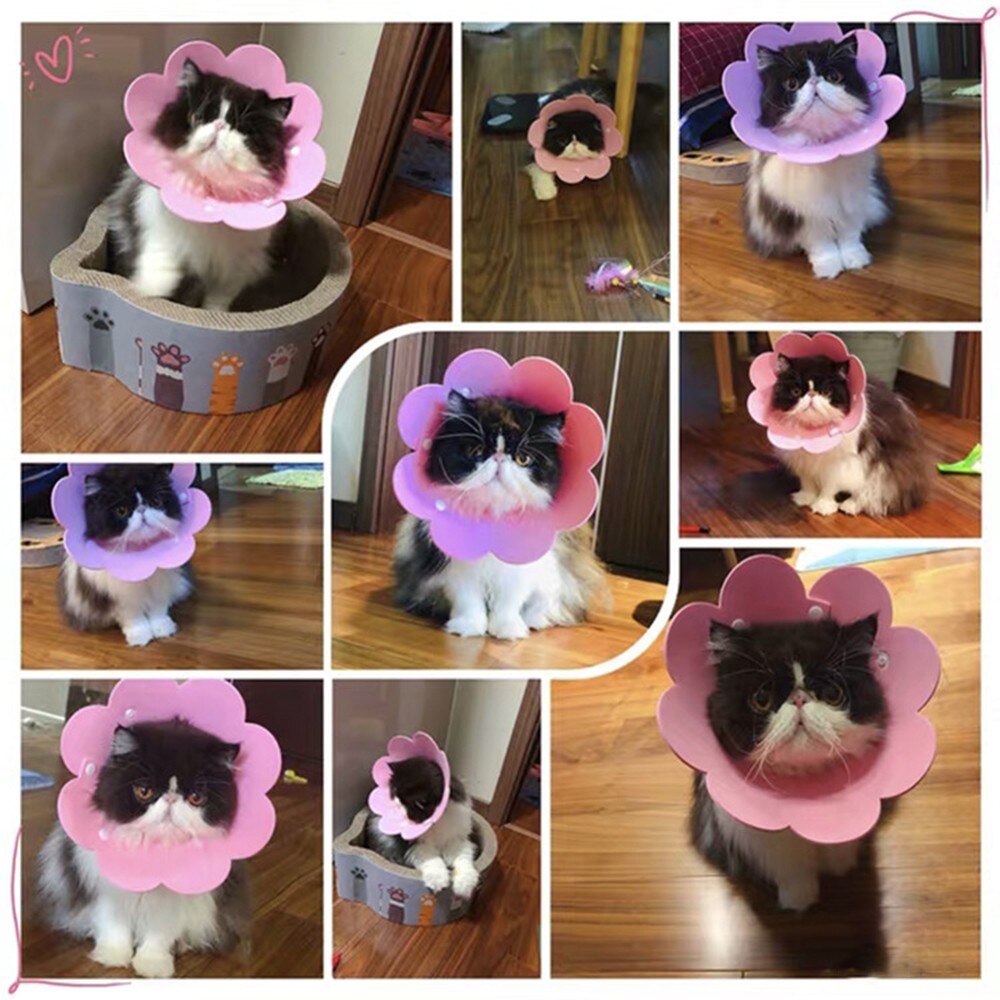 Cute Pet Protective Collars for Dogs Cats Wound Healing Protection Dog Cat Collars Anti-Bite Neck Cone Recovery Circle