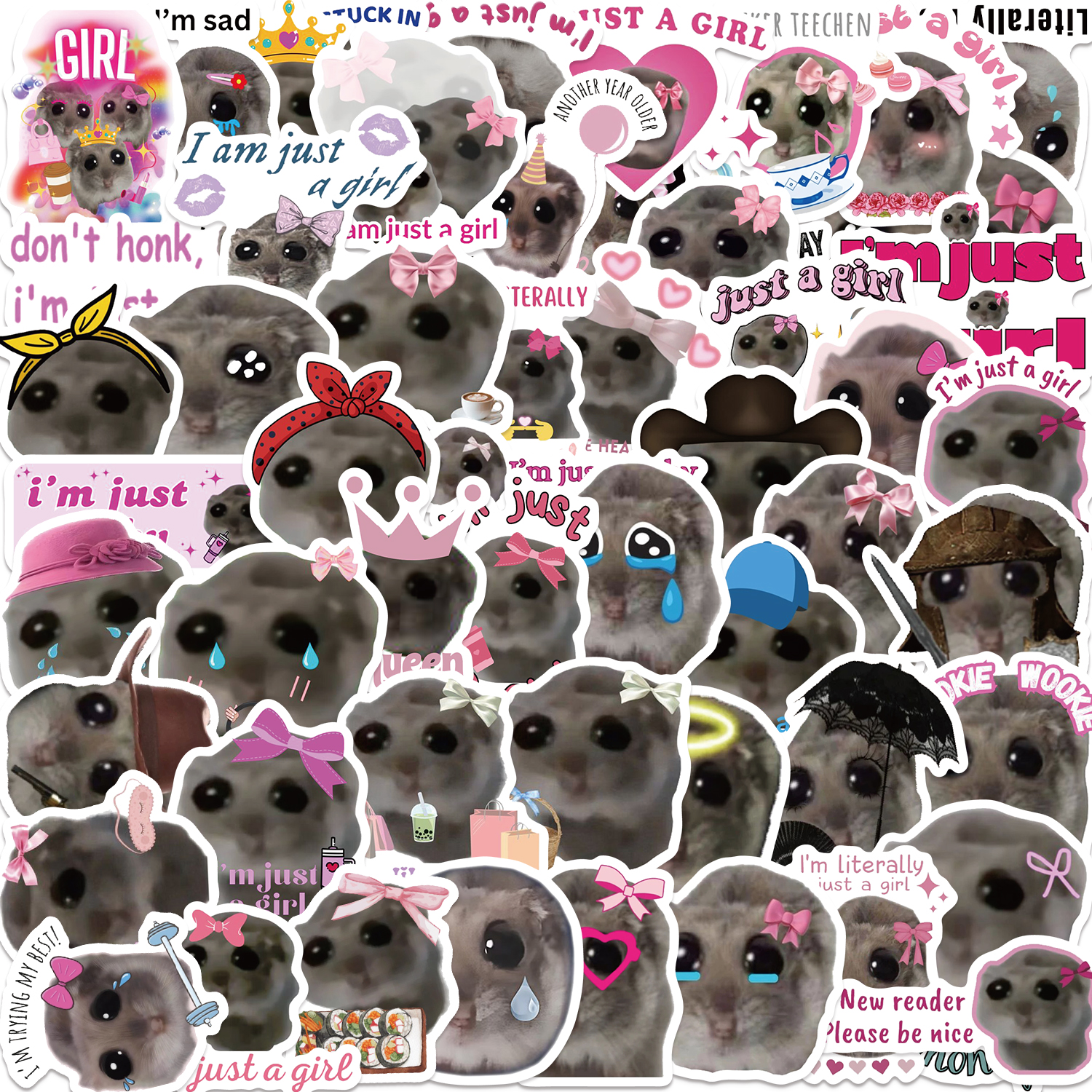 56pcs Sad Hamster Meme Decals Leuke Stickers Esthetische Telefoon Notebook Koffer Laptop Koelkast Muur Cartoon Dieren Sticker