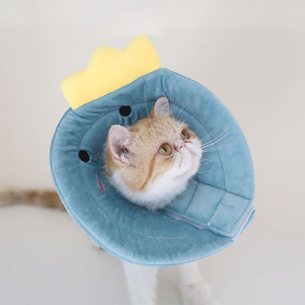 Collier de récupération en coton réglable en forme d'équation pour chat, anti-léchage, collier élisabéthain pour chat, anti-mordant, doux, chien, Elizabeth Circle