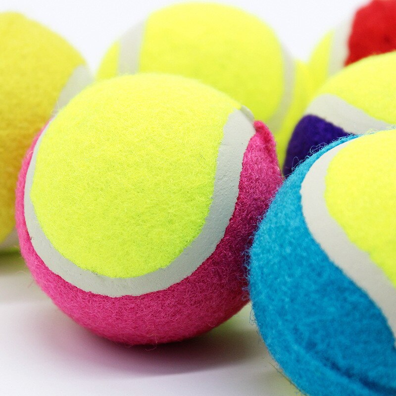Diametro di 6.5 centimetri Palla Da tennis masticare Giocattolo per Il canna Gonfiabile Palla Da tennis animale domestico Interattivo Del canna Giocattoli Da Compagnia Forniture tutto'aperto Grillo giocattolo del canna