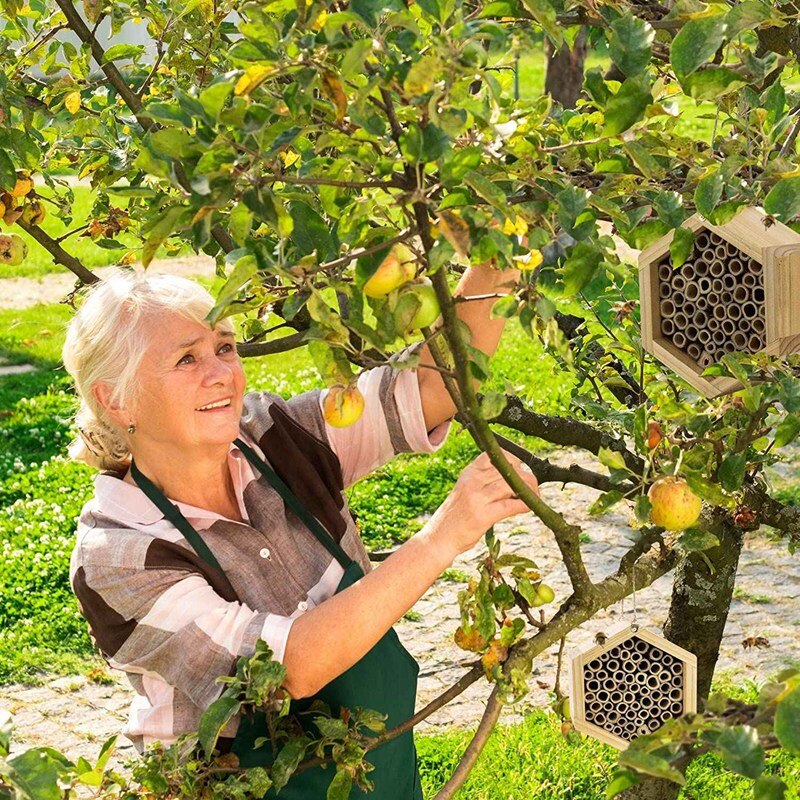 Handmade Natural Bamboo Bee Hive Mason Bee House Attracts Peaceful Bee Pollinators for the Garden