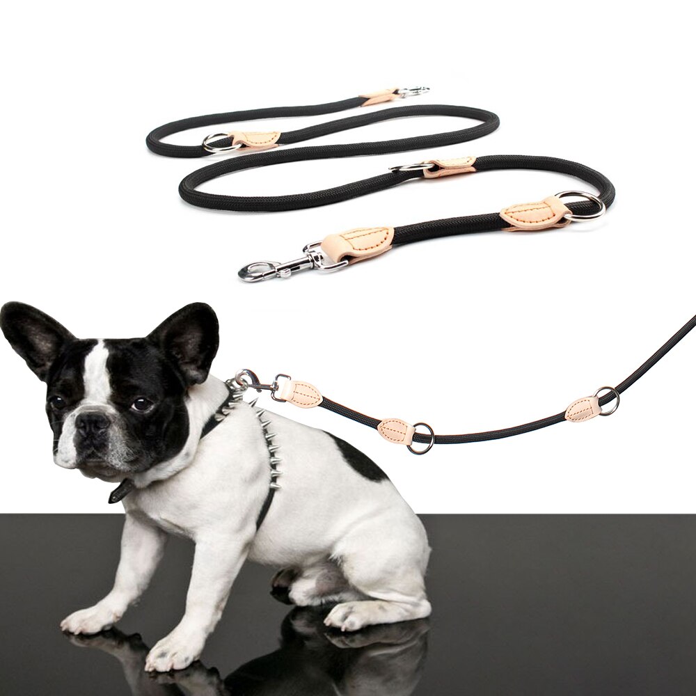 Neue Doppel Leine P kette Kragen Fr Zwei Hund Lei...  Grandado