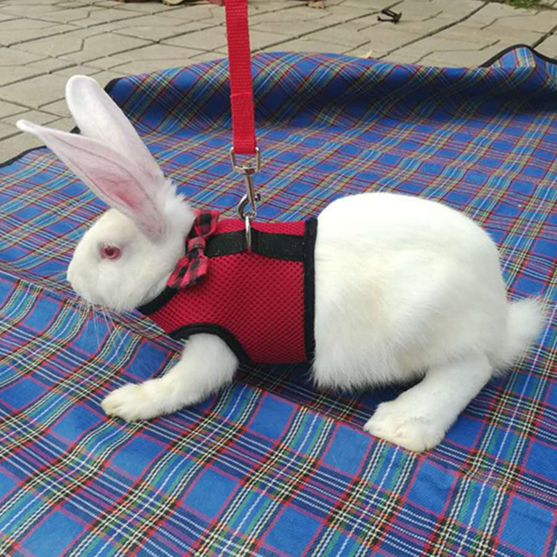 pet vast Rabbits Hamster Vest Harness Bunny Mesh Chest Strap Harnesses Leash Ferret Guinea Pig Small Animals Pets Accessories