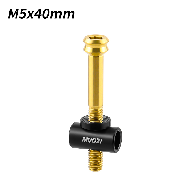 MUQZI Titan-Sattelstützenschraube M5 x 30/40 mm Fahrrad-TC4-Sattelstützen-Befestigungsschraube mit Unterlegscheibe für Fahrradsitzrohr: Grau