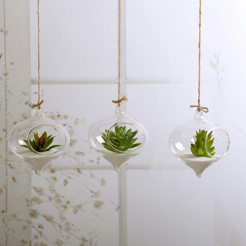 Pot DE fleurs en verre suspendu , Vase mural pour Terrarium, récipient pour Aquarium