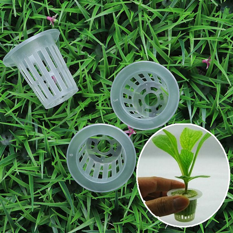 Cestas para cultivo hidropónico de orquídeas, 100 Uds.