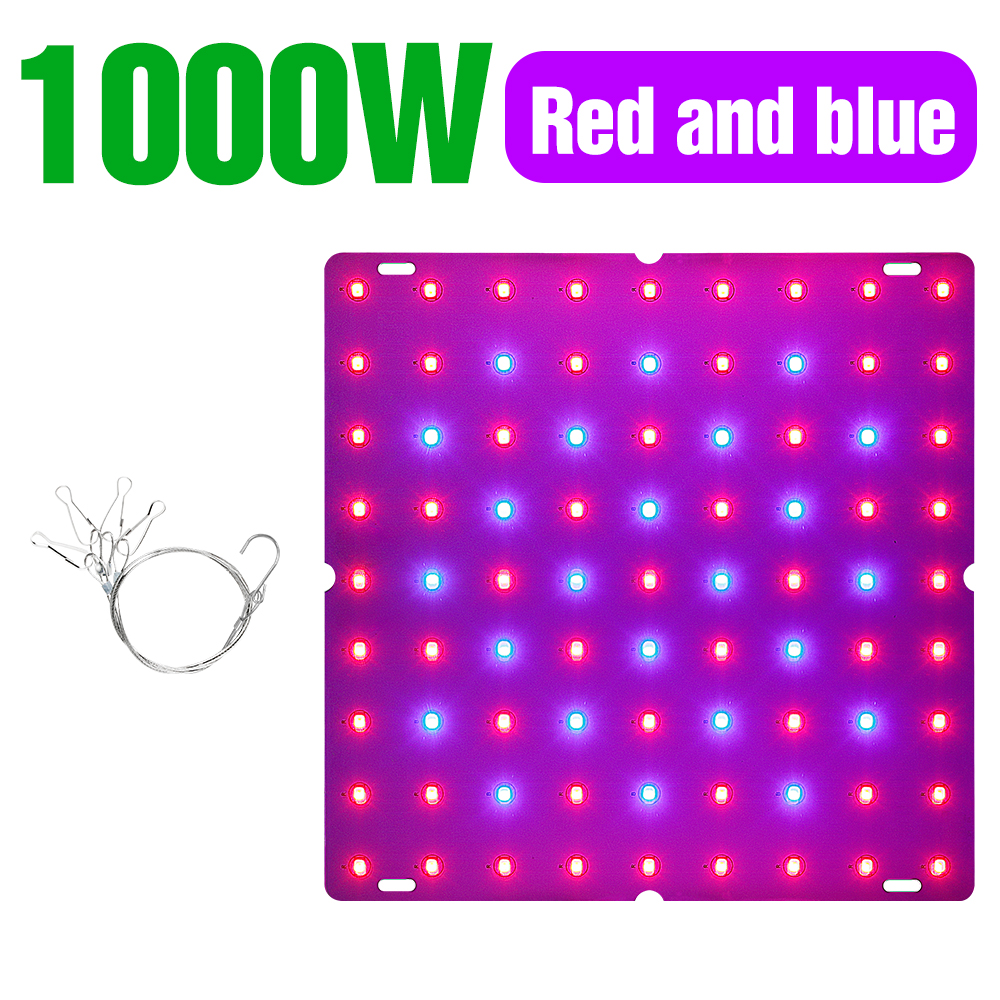Led Grow Light Led Phytolamp Volledige Spectrum Lamp Plant Groei Hydrocultuur Planten Zaad Bloem Grow Box 1000W 2000W quantum Board: C-1000W-Redblue / US Plug