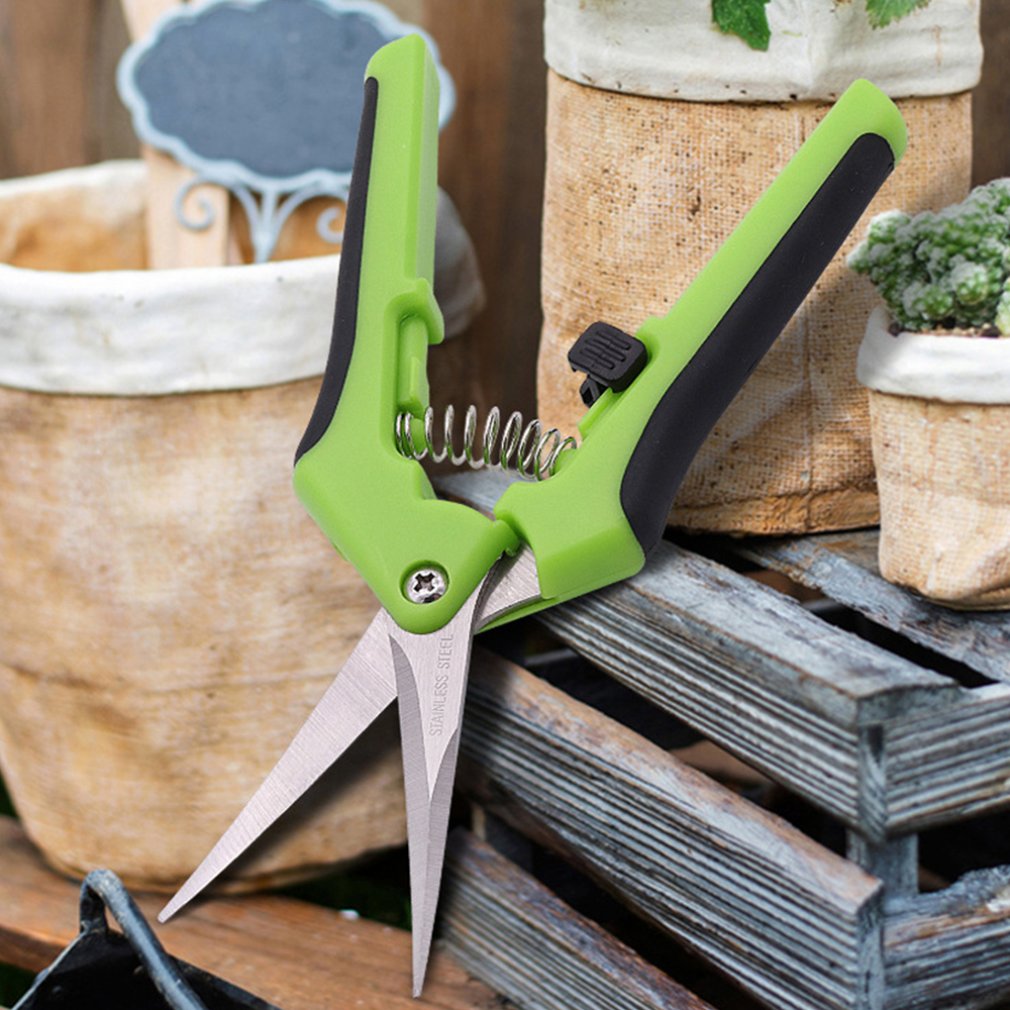 Léger Jardin Cisailles Ciseaux de Jardin Ciseaux de Taille De Cueillette De Fruits Durable En Acier Inoxydable